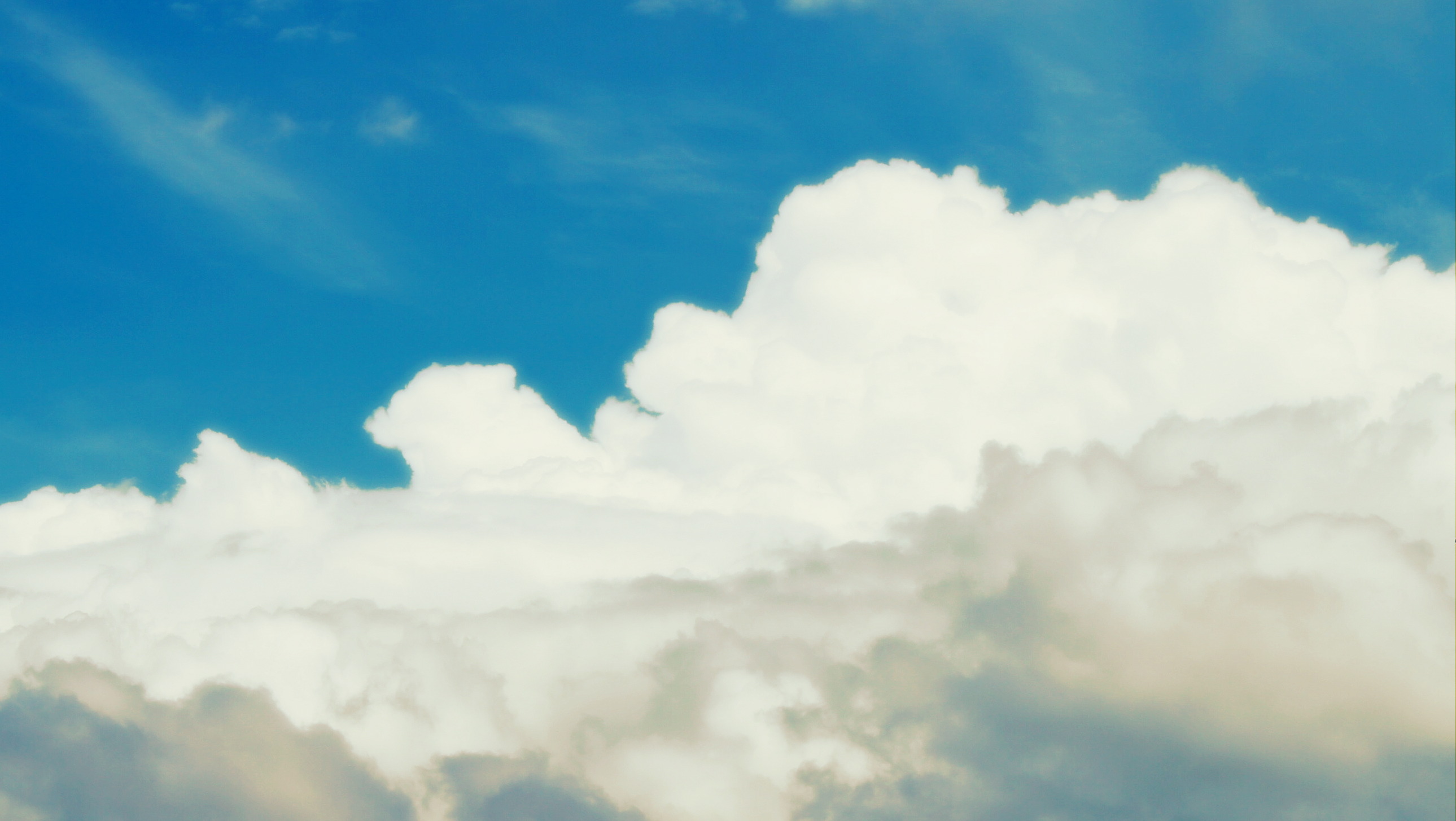 World Meteorological Day